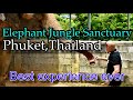 Elephant Jungle Sanctuary Phuket Thailand
