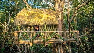 Girl Living Off Grid Built The Most Amazing Bamboo Treehouse in the Wild to Live, Girl the Builder