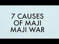 7 CAUSES OF MAJI MAJI WAR