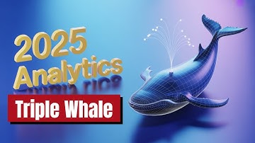 Triple Whale 2025 Guide | Advanced Tracking & Analytics for Online Stores