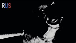 видео: Каталог Манделы Том 333 + every day gets brighter | The Mandela Catalogue на русском картинка: Каталог Манделы Том 333 + every day gets brighter | The Mandela Catalogue на русском
