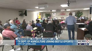 Texas Dept. of Agriculture assisting with beetle investigation in Levelland