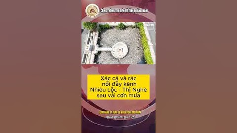 Xác cá và rác nổi đầy kênh Nhiêu Lộc - Thị Nghè sau vài cơn mưa