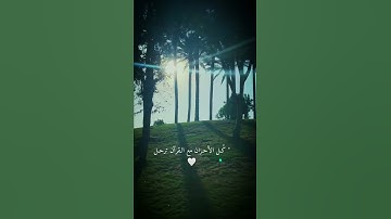 القارئ هزاع البلوشي |ستوريات قرآن|حالات واتس اب دينية|راحه نفسيه Quran🤍🌿