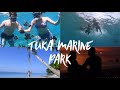 Tuka marine park saranggani the best 