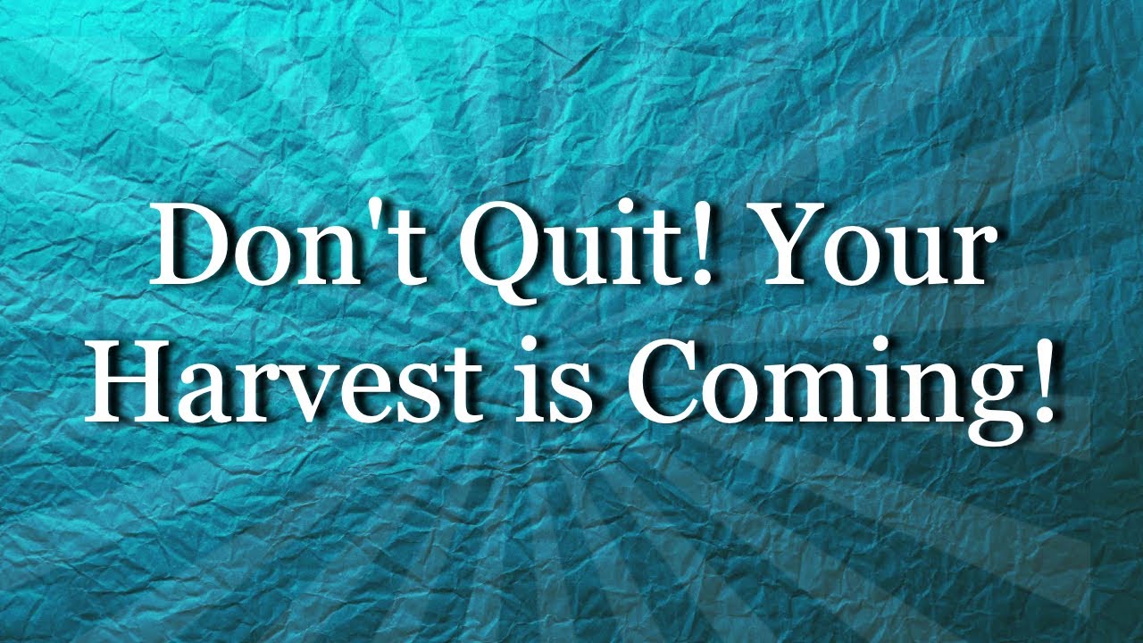 Don't Quit! Your Harvest is Coming!