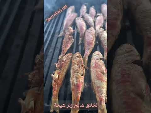 الحلاق شايخ زنز شيخة ولا في الأحلام Football تونس الترجي