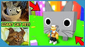 Roblox Pet Simulator New Duplication Glitch Update 10 Duping The Best Pets Youtube - roblox pet simulator duplication