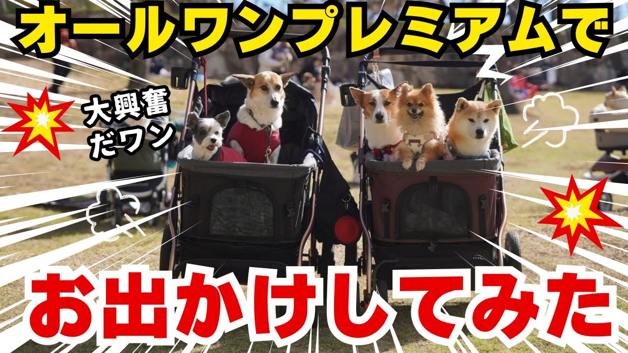ALLWANPREMIUM 耐荷重45kgまでのペットカート 楽天市場】ご予約3月予定 人気のカタチ！大型犬ちゃんにも 大型