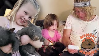 Just A Little Girl And Her Wombats | Wombat Warrior