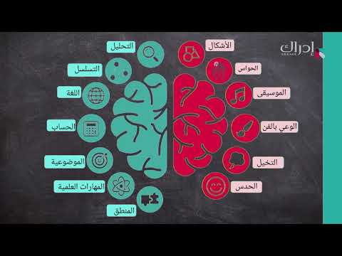 التفكير الإبداعي والإبتكار الجديد - دور الدماغ في الإبداع: الدماغ المتكامل