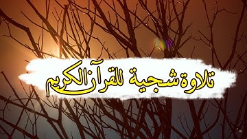 تلاوة شجية ومؤثـرة بـترتيل في قمة الجمال ..