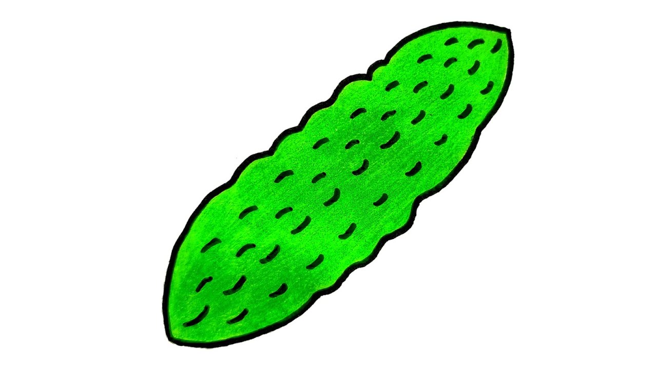 One single line drawing of whole healthy organic bitter gourd for farm logo  identity. Fresh bitter melon concept for vegetable icon. Modern continuous  line draw design vector graphic illustration 22619856 PNG