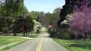 The Holston Hills Dogwood Trail 2014