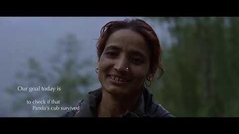 The Firefox Guardian