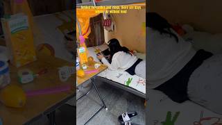 Not every hostel memory is happy #minivlog #hostellife #sakshuufamily #trendingshorts