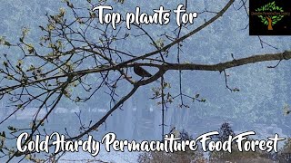 So you want a cold hardy permaculture food forest? Here are some of my favorite plants. screenshot 5