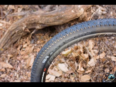 wtb ranger 27.5 2.0