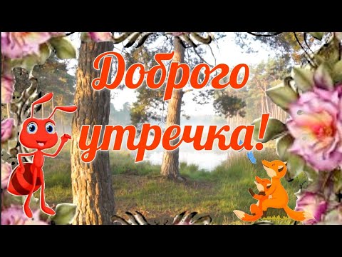 ДОБРОЕ УТРЕЧКО🌹 Доброго дня. Обалденная Открытка С Добрым Утром Хорошего Дня #сдобрымутром #доброе