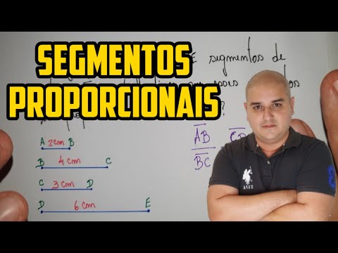 Vídeo: Como você encontra a proporção de um segmento de linha?