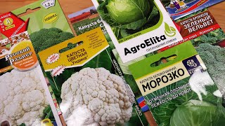 Обзор семян капусты на 2022 год