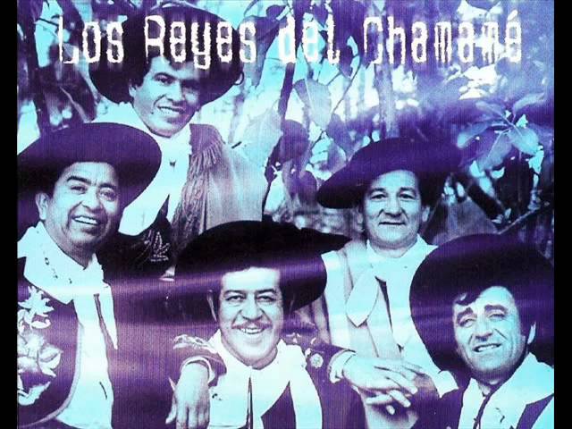 Los Reyes del Chamamé - EL BURRO akkoorden