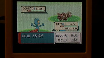 Live! Shiny Treecko in Ruby after 27,196 total SRs! +3 Live Uncatchable Shiny Poochyenas!