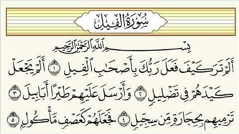 سورة الفيل - للقارئ . عبدالرحمن عبدالله