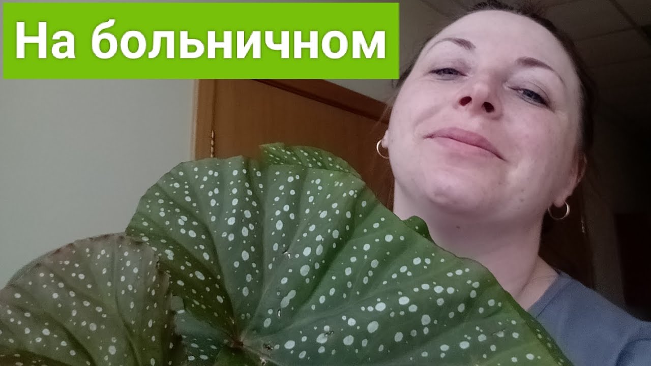 Образовались 2 кисты на яичнике. - YouTube