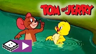 Tom's dinner gets given some swimming lessons by jerry. subscribe to
the boomerang uk channel:
https://www./channel/ucmst562faloy2ckb4ifgq...