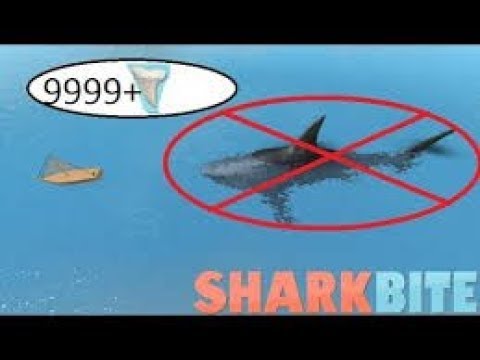 Roblox Sharkbite: Admin Hax - YouTube