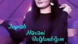 Zeyneb Heseni yeni mahnisi 2018 baglandigim insan mini  Resimi