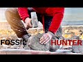 Splitting Rocks for Fossils! Fossil Hunter