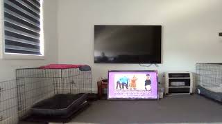 Closing To The Wiggles Wiggle Bay 2002 Vhs Australia