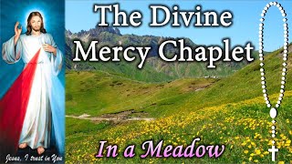 Divine Mercy Chaplet in a Meadow (Virtual)