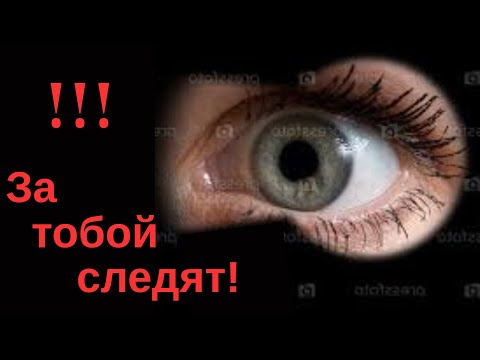 Кто следит за