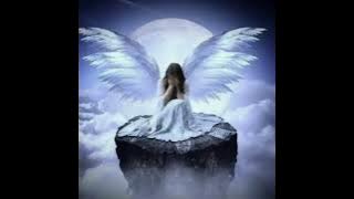 2025 m. lapkričio 22 d.