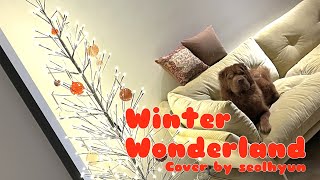 'Winter Wonderland - Amy Grant' (Cover by SEOLHYUN) | 설현 Cover | 눈이 부시게 by 설현