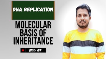 DNA Replication | Molecular Basis of Inheritance Part 7 | #neet