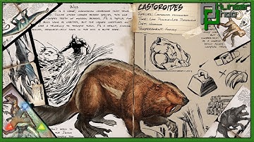 Ark Basics - Castoroides - Beaver - EVERYTHING YOU NEED TO KNOW