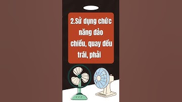 Bạn đã biết cách dùng quạt như thế nào để mát hơn trong ngày hè? - Phan Thanh Vĩnh #shorts #quạt