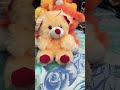 Teddy collection