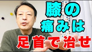 膝の痛みは足首で治せ。東京都杉並区久我山駅前「三起均整院」