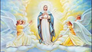 Holy Rosary - Luminous Mysteries - Thursday