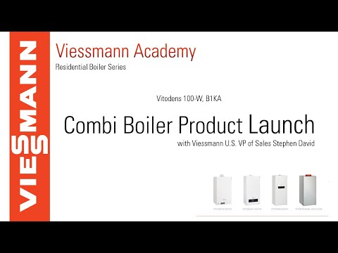 Vitodens 100-W, B1KA