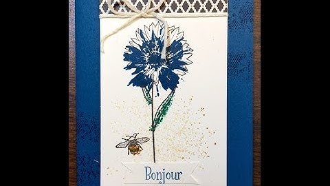 Card Making Video with Stampin