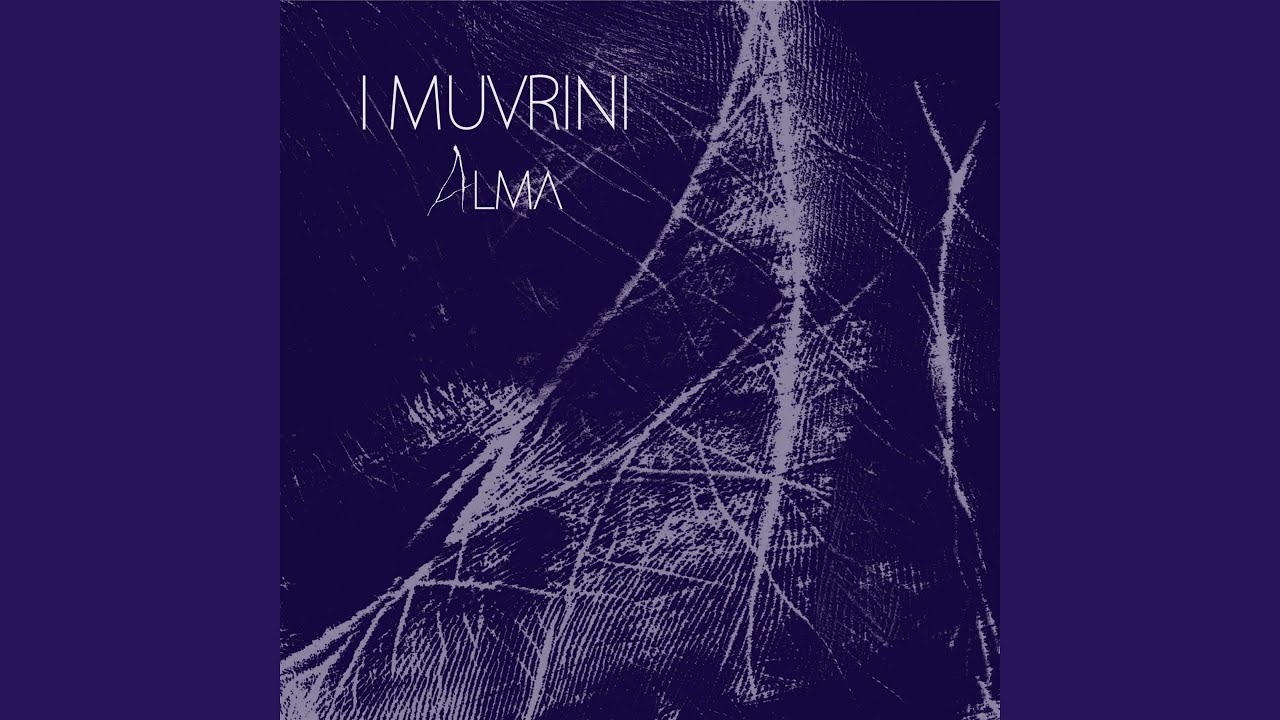 Vole adlı videoyu YouTube'da izle Vole adlı videoyu YouTube'da izle