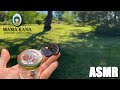 Asmr  dgustation de cbd dans la nature   pisode 2