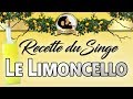 Recette limoncello maison  le singe imbib