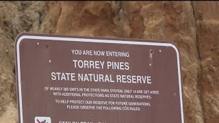 Torrey Pines Reserve mostly closed for next few months | NBC 7 San Diego